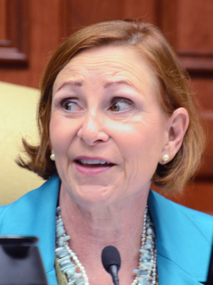 Fifty pictures of Pilar Turner taken during any City Council meeting would reveal fifty shades of contempt.