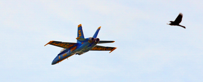 Blue Angels 12
