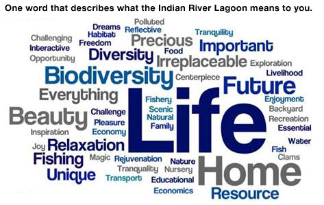 assembly-2014-wordcloud