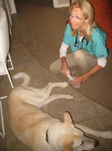Dr. Kattis Stengard cares for 16-year old Willie at his home