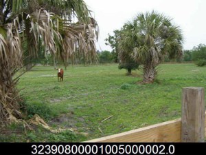 As a candidate for the County Commission District 2 Seat, Shawn Frost gave as his address 6350 65th Street. According the the Indian River County Property Appraiser records, the property is unimproved pasture land.  