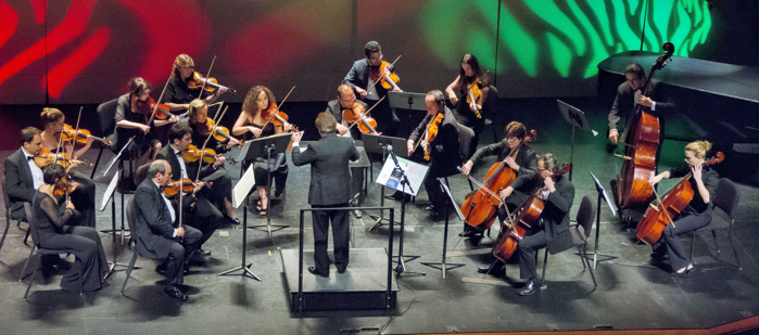 Mission Chamber Orchestra of Rome