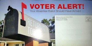 Voter Alert