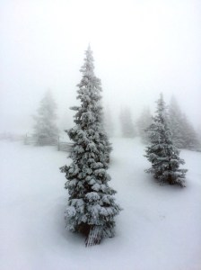 PHOTO By Cheri Schumann