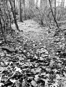 Photo By Cheri Schumann