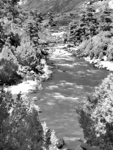 Rio Grande, New Mexico