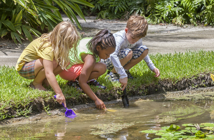 McKee Botanical Gardens' Camp McKee nature events are open to children ages 5-9.