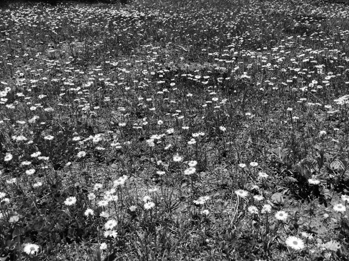 Photo By Cheri Schumann