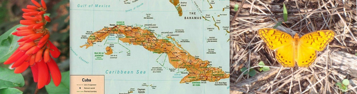 weekend-cuba-trip-ELC