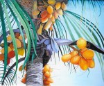 weekend - Coconut Palm0002