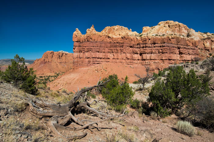 Ghost Ranch, NM