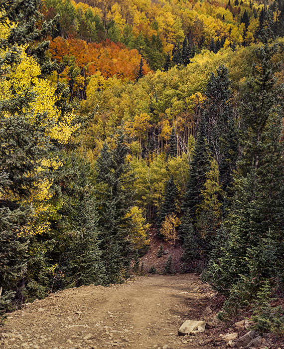 Aspen Vista_1_021115