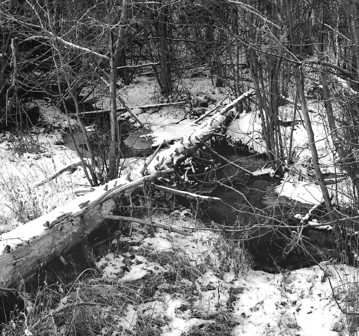 Hyde Memorial State Park - By Cheri Schumann