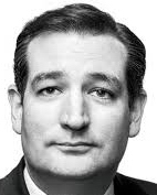 Senator Ted Cruz