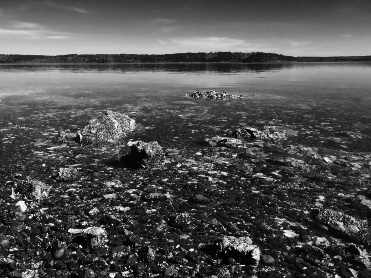 Seal Rock Campground - Olympic National Park