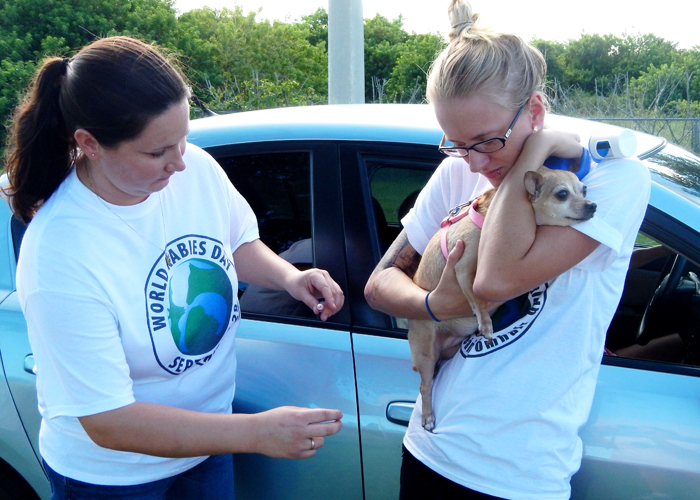 Humane Society staffers Aubrey Mallory and Emily Hartin vaccinate a dog against rabies. The Humane Society will hold its free drive-thru rabies vaccination clinic on Sunday, September 25 from 5-7 p.m. for Indian River County residents.