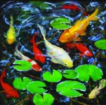 weekend-web_koi-to-the-world_20x20_hires_cmyk