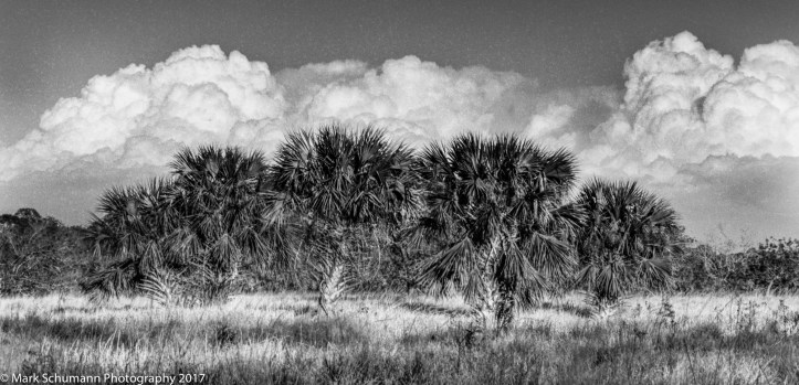 building-afternoon-storm-west-of-vero-beach_020817