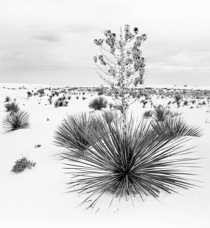 White Sands National Monument